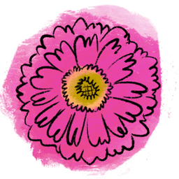 百日菊
