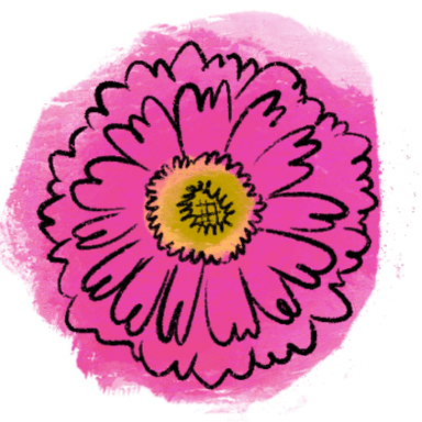 百日菊