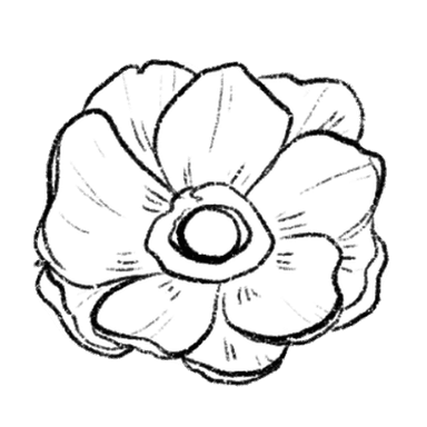 银莲花