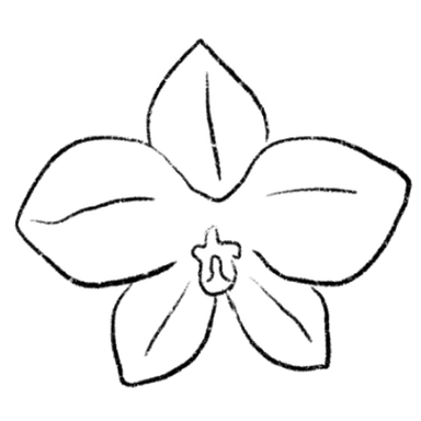 兰花